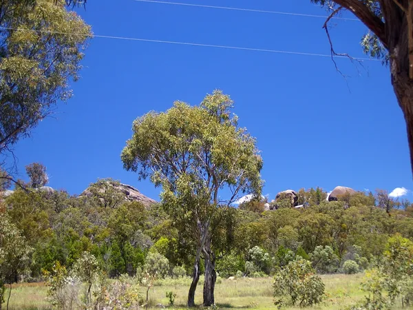 Brisbane to the Granite Belt: A 3-Day Food & Wine Campervan Escape campervan route