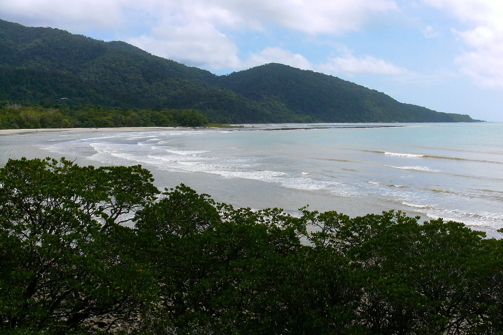 Cairns to Cape Tribulation: A 3-Day Campervan Trip Through the Daintree campervan route