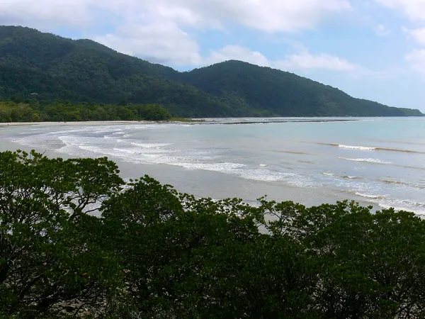 Cairns to Cape Tribulation: A 3-Day Campervan Trip Through the Daintree campervan route