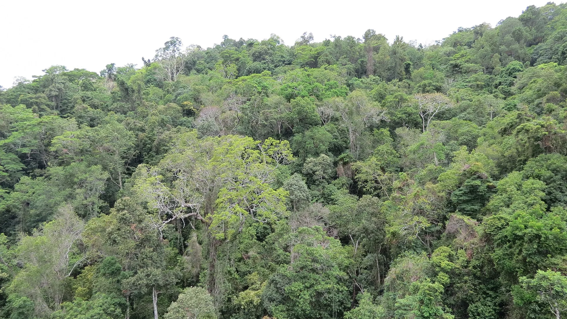 Cairns to Cape York: A 14-Day 4WD Campervan Expedition to the Tip campervan route