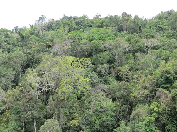 Cairns to Cape York: A 14-Day 4WD Campervan Expedition to the Tip campervan route