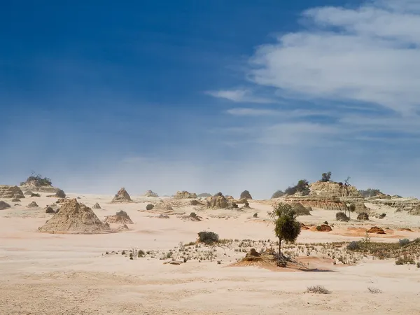 The Darling River Run: A 10-Day Outback Campervan Adventure Through NSW campervan route