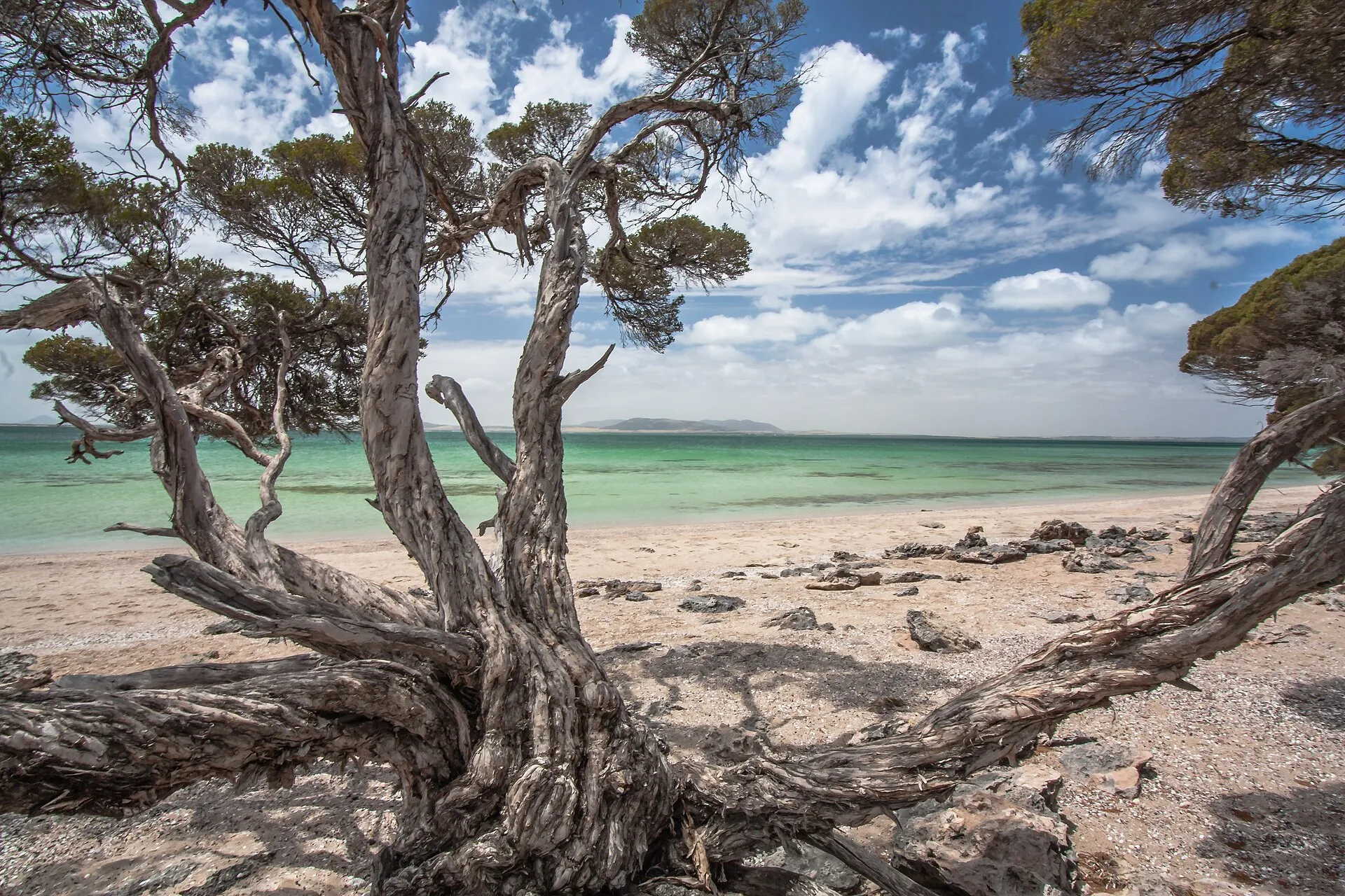 Eyre Peninsula: A 7-Day Campervan Loop Around South Australia's Seafood Frontier campervan route
