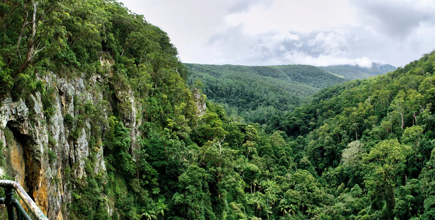 Gold Coast Hinterland: A 3-Day Campervan Loop Through the Rainforest campervan route