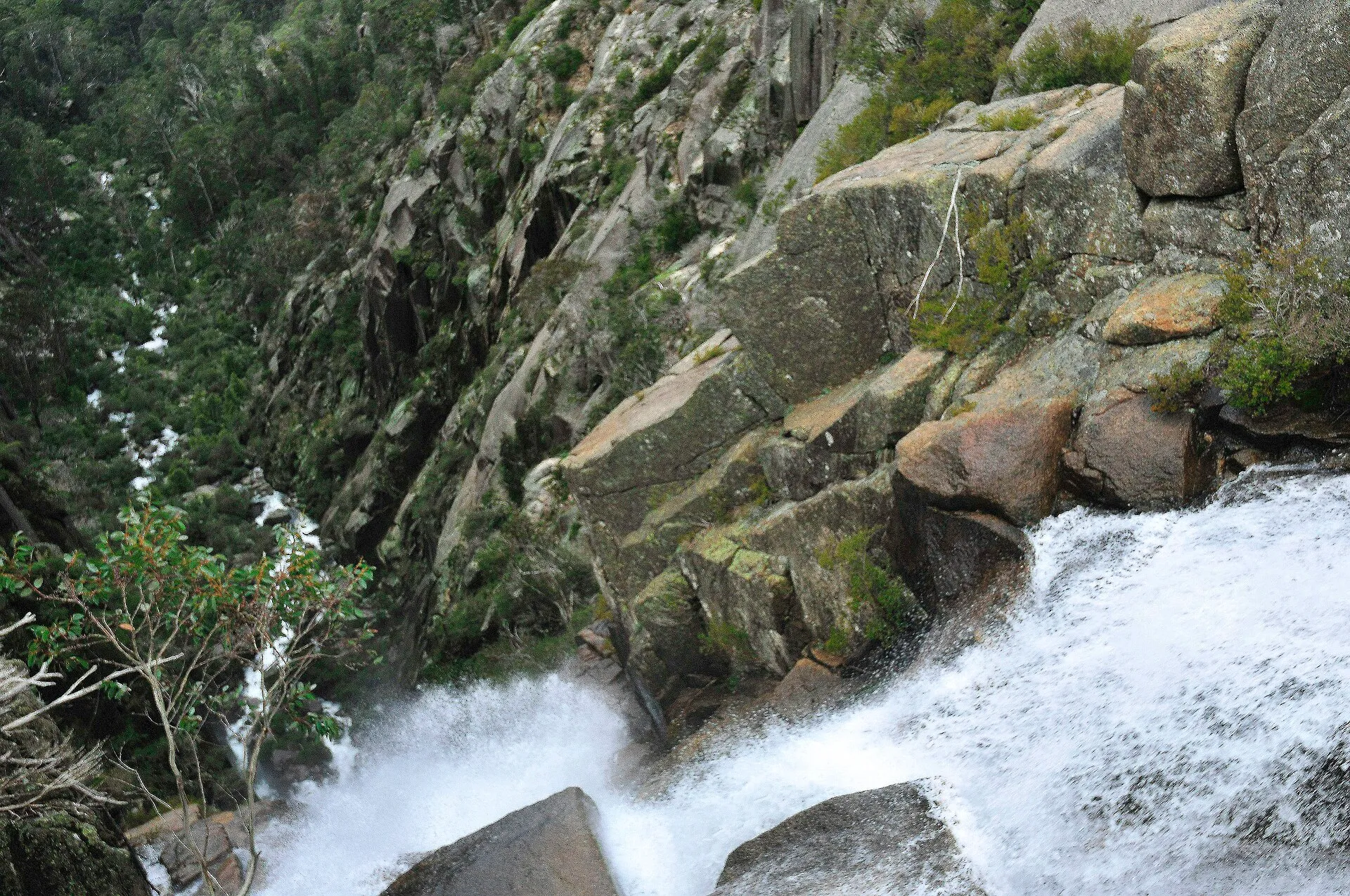 The Great Alpine Road: A 5-Day Campervan Trip Through Victoria's High Country campervan route
