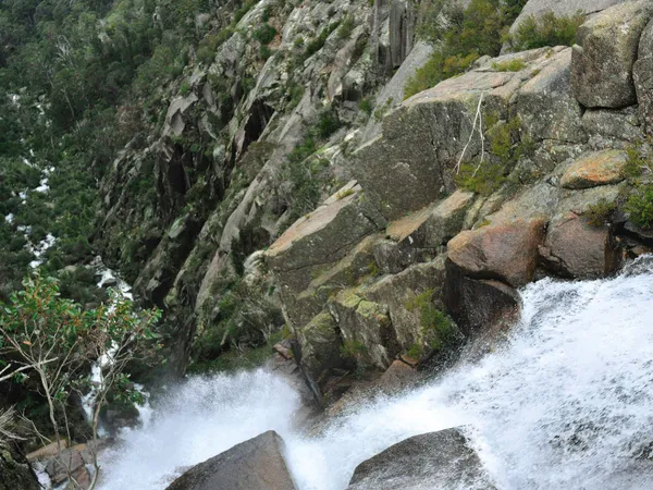 The Great Alpine Road: A 5-Day Campervan Trip Through Victoria's High Country campervan route