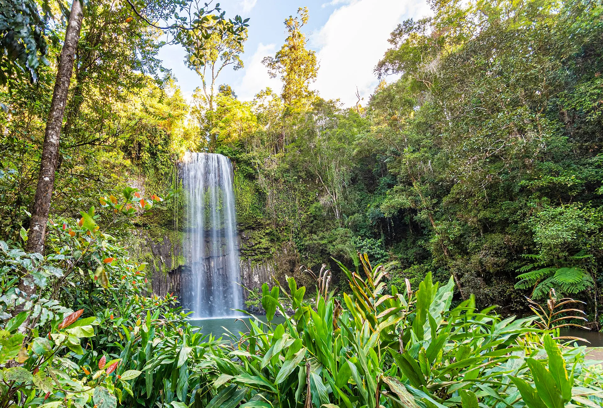 The Great Tropical Drive: A 7-Day Campervan Loop Through Tropical North Queensland campervan route