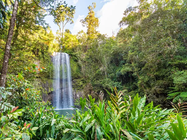 The Great Tropical Drive: A 7-Day Campervan Loop Through Tropical North Queensland campervan route