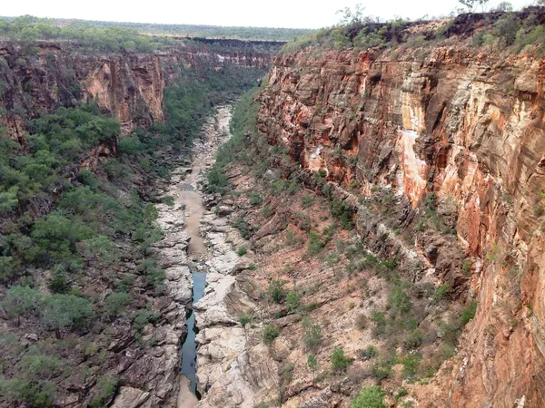 Outback Queensland's Dinosaur Trail: A 7-Day Campervan Loop from Longreach campervan route