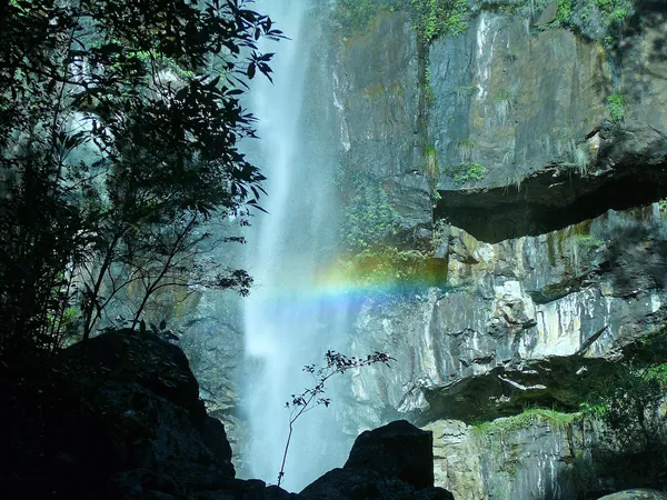 The Rainforest Way: A 5-Day Campervan Loop Through the Byron Bay Hinterland campervan route