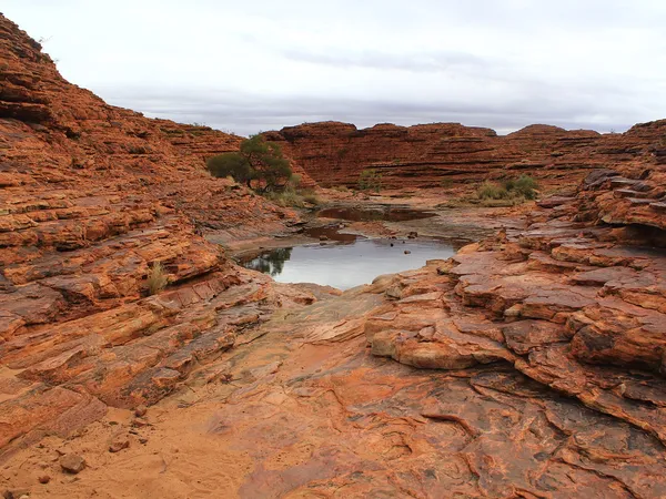 The Red Centre Way: A 7-Day Campervan Loop to Uluru & Kings Canyon campervan route