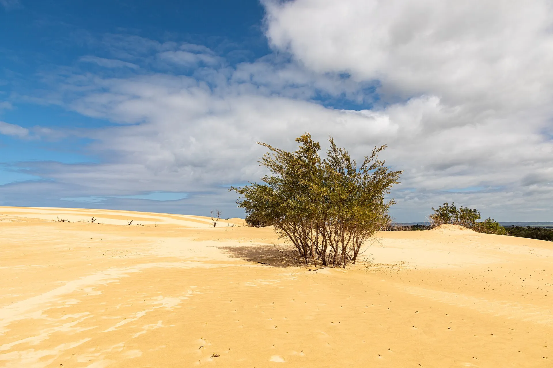 Sydney to Melbourne Coastal Drive: A 7-Day Campervan Road Trip campervan route