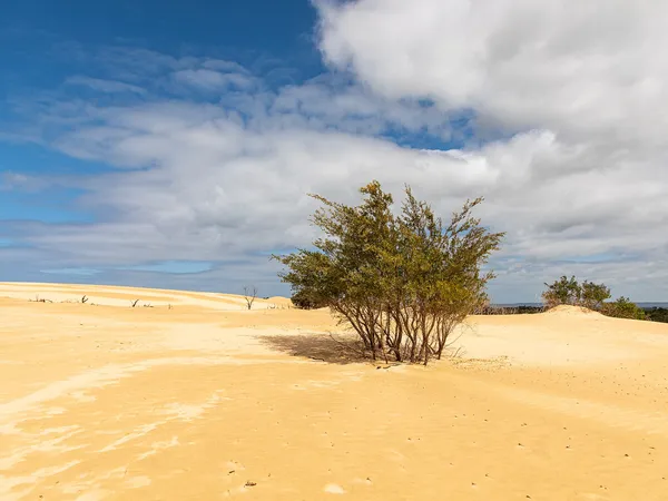 Sydney to Melbourne Coastal Drive: A 7-Day Campervan Road Trip campervan route